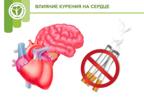 Влияние курения на сердце